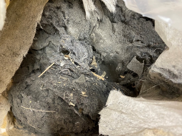 Collected debris from cleaning robot